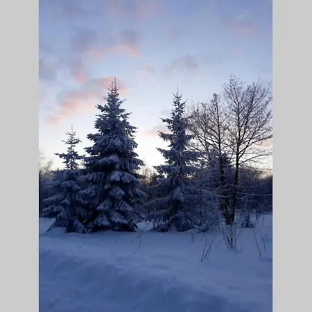 Ferienwohnung Tannenblick Hahnenklee im Harz Goslar Exterior foto