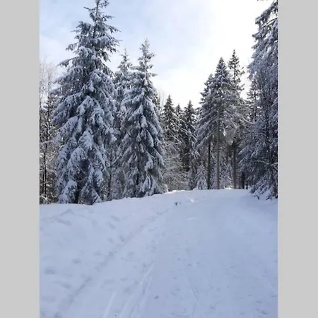 Ferienwohnung Tannenblick Hahnenklee im Harz Goslar Exterior foto