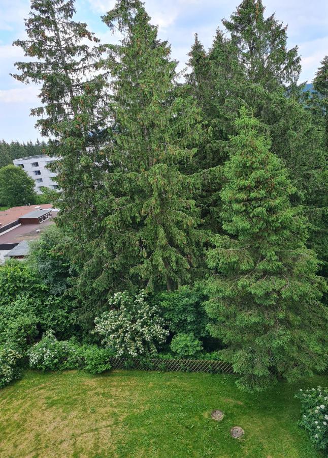 Tannenblick Hahnenklee Im Harz Goslar